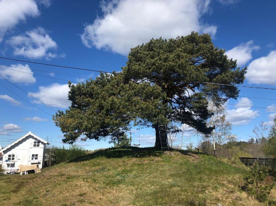Stor Enebolig Med Flott Hage Og Sommerstue Skarpnes Exterior foto